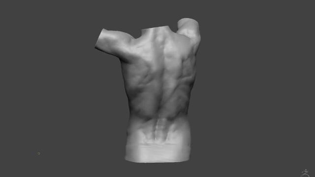 ZBrush male torso study смотреть онлайн