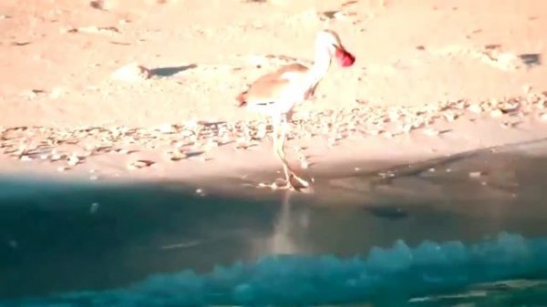 Adaaran Club Rannalhi Мальдивы