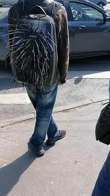 Рюкзак дикобрас для чего непонятно смотреть онлайн