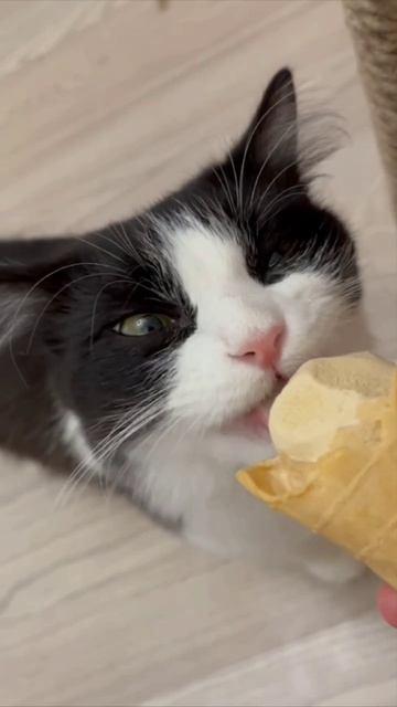 А вы кушаете ночью ? ) зря... очень вкусно ) смотреть онлайн