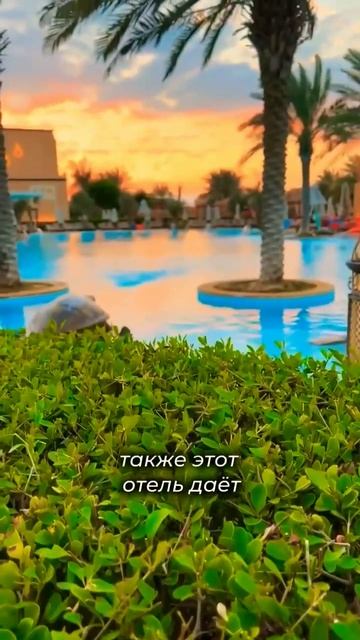 Абу-Даби 🧘 ОАЭ .Обзор отеля #travel#shorts#остров смотреть онлайн