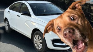 Новая Лада Веста нг. 1 то. Новые поломки. Никто не мог определить что с машиной.