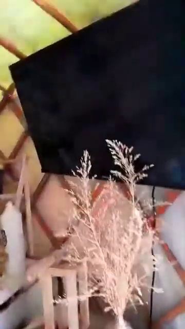 26 июня 2024 г. смотреть онлайн