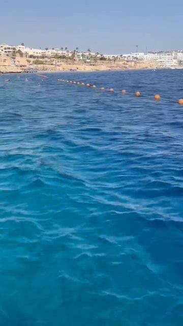 Sierra hotel. Sharm el Sheikh. Egypt. Red Sea. Египет. Отель Сиерра. Шарм эль Шейх #egypt #red_sea смотреть онлайн