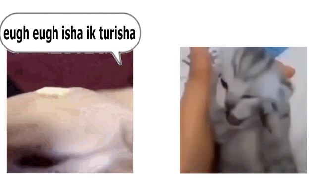 Turi Ip Ip Ip Vs Nekalakininahappenenawiwanatin Epic Rap Battle