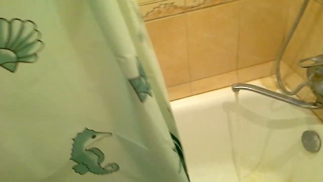 Забавный кот смотреть онлайн