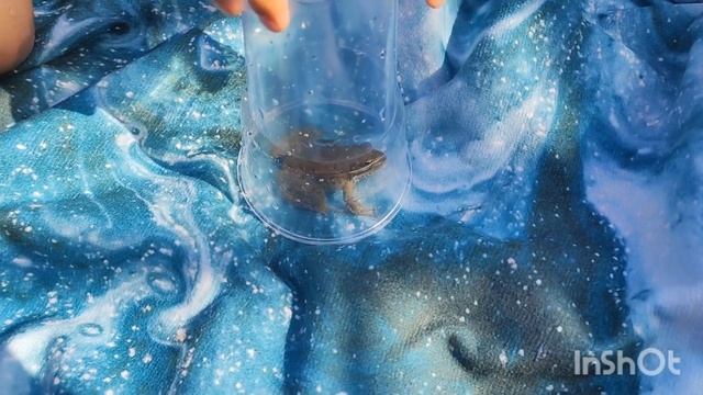 2024г. Небуг //День 5.//Другой пляж с волшебной водой ❤️ //Вот это сюрприз🙈 //Люди - свиньи🤦🏻 смотреть онлайн