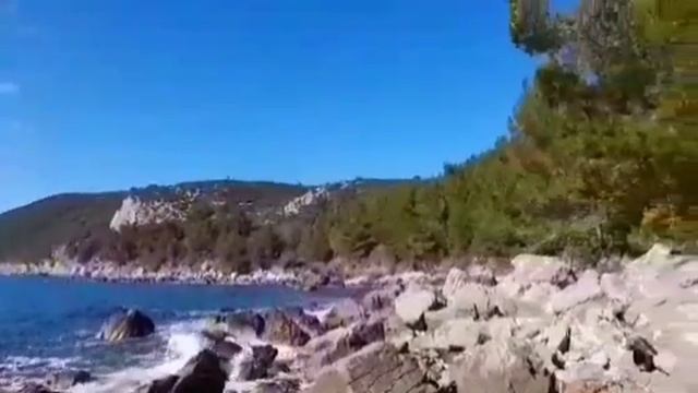 Колесниковы// Все! Кина не будет! // Мое мнение//