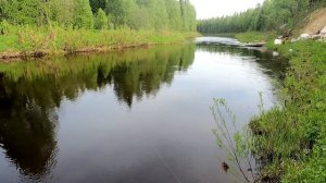 Полта I Архангельская область I