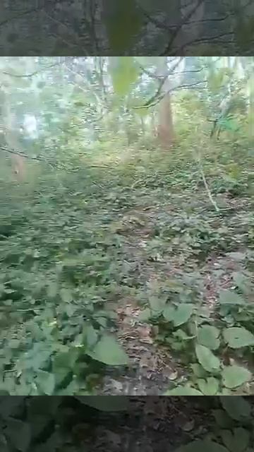 🌏 Дольмены рядом с Туапсе 03.05.22 (14) 👍 смотреть онлайн