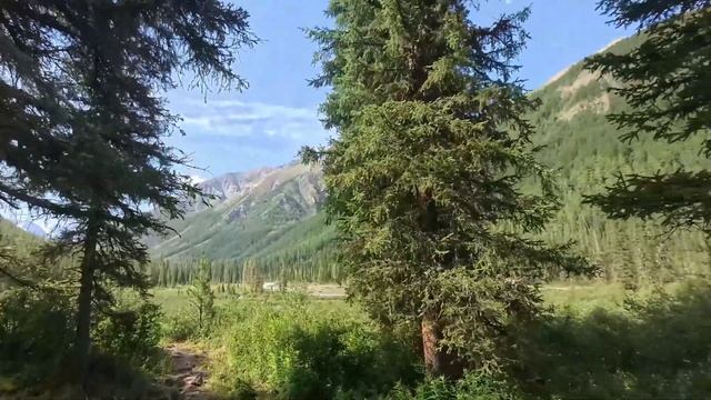 Шавлинские озёра. Алтай которого вы не видели. Горный Алтай самостоятельно. Поход в горы. смотреть онлайн