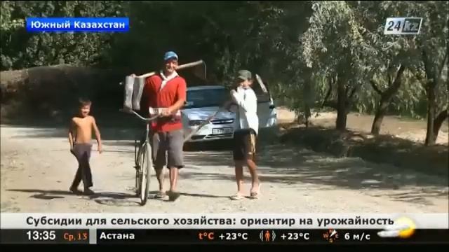 Субсидии казахстанским аграриям должны выдаваться по итогам уборки смотреть онлайн