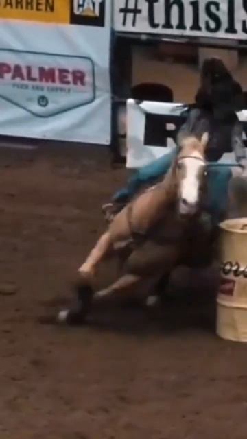 Do you like barrel racing, why or why not? #barrelracing #speed #Palomino #barrels смотреть онлайн
