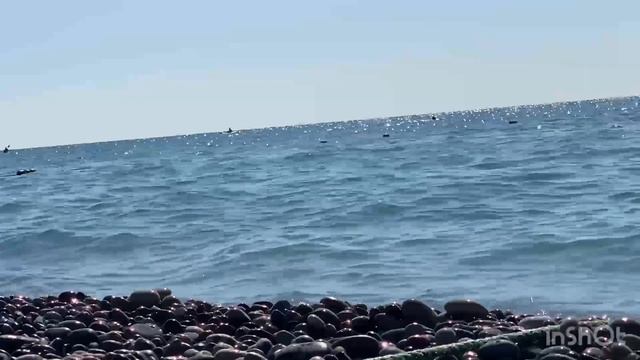 ASMR Засыпаем под шум моря 🐬#asmr #море #подпишись #подпишись сочи #релакс #медитация смотреть онлайн
