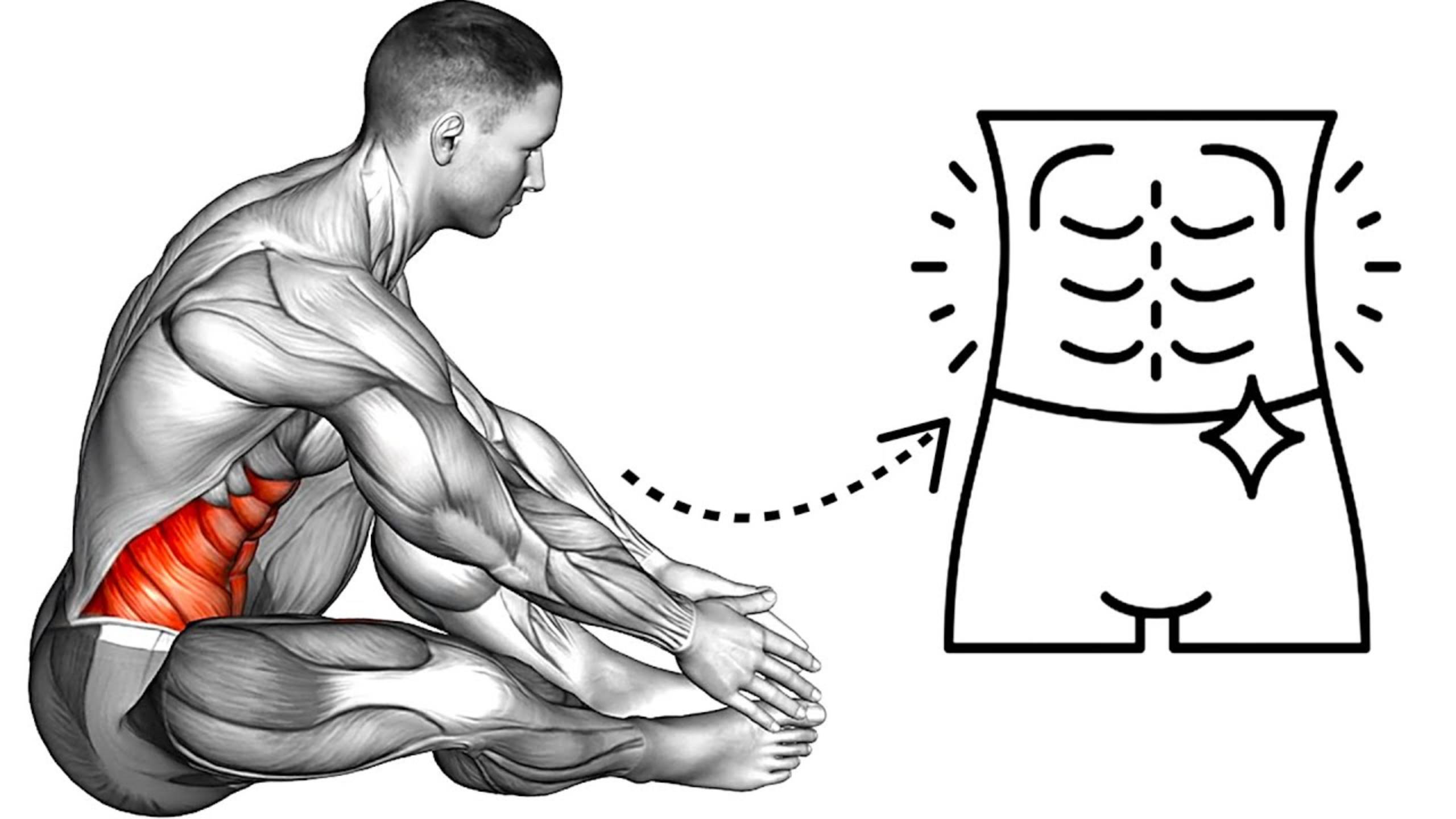 Лучшие упражнения для Пресса (без оборудования, домашняя тренировка) смотреть онлайн