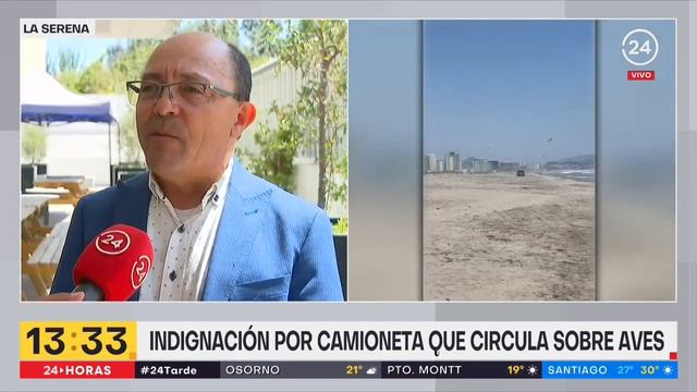 Camioneta pasó sobre humedal donde nidifica ave protegida | 24 Horas TVN Chile смотреть онлайн