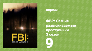 ФБР: Самые разыскиваемые преступники 3 сезон 9 серия «Беги. Прячься. Сражайся.» (сериал, 2022)