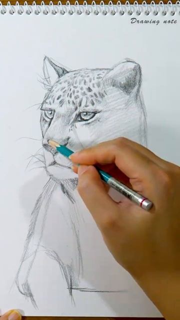 Leopard drawing #shorts смотреть онлайн