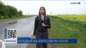 Дожди и похолодание ожидаются на майские праздники в Краснодарском крае