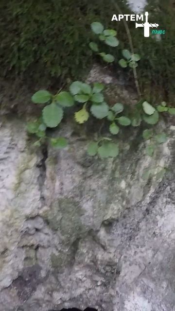 177. Сочи. Орлиные скалы. (Виа феррата, утёс Прометея), Ахунская пещера, Агурские водопады. #short смотреть онлайн