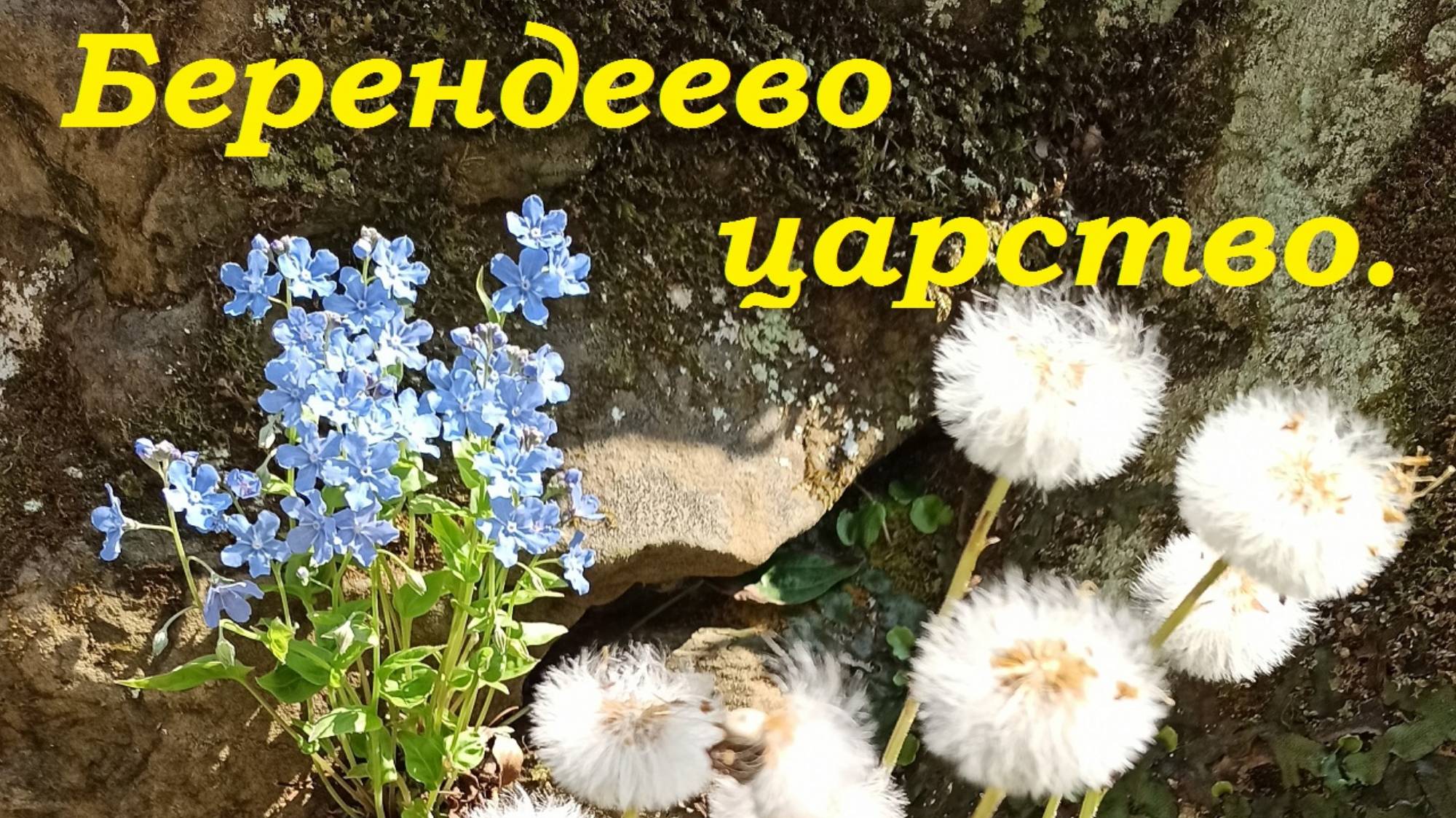 Сочинский национальный парк. Берендеево царство в Лазаревском. смотреть онлайн