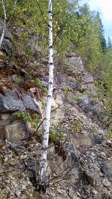 Лепота смотреть онлайн