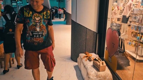 Тайланд. Чумпхон. Атмосфера локации. Пробуем мечехвоста