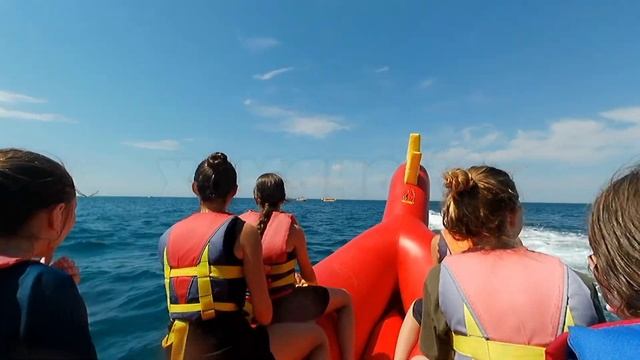 🐹ВЫЕЗД 2024, АРХИПО-ОСИПОВКА смотреть онлайн