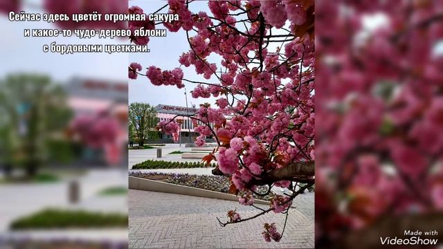 "Вместе навсегда" обед в "Папаша Беппе" и концерт Театра Эстрады 24/04/2025 смотреть онлайн