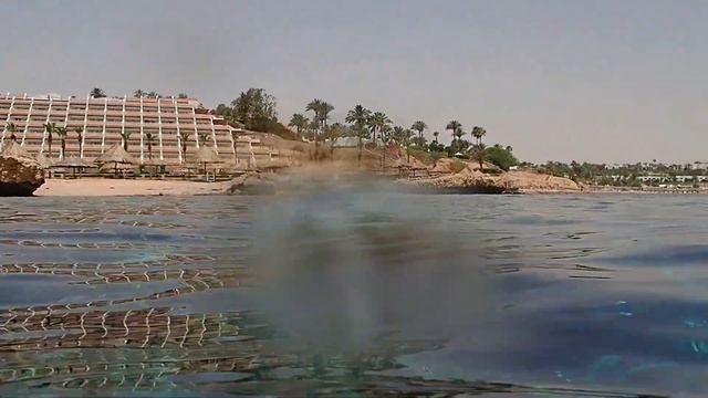 Шератон Шарм эль Шейх