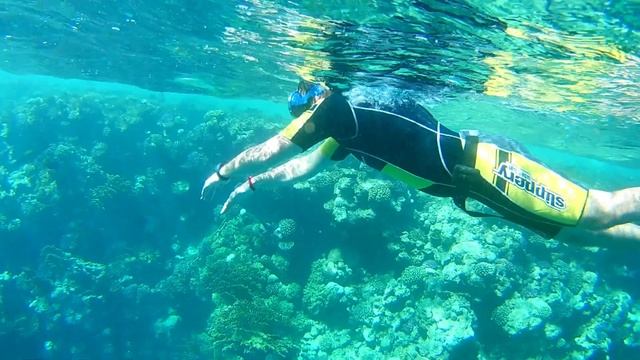 Наш тёплый февраль ) В Египет зимой смотреть онлайн