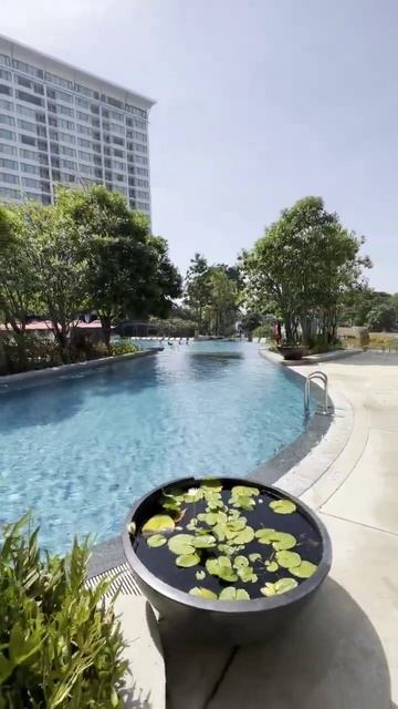 Amari Pattaya 4* Hotel, Таиланд #тайланд #таиланд #паттайя #thailand #thai#thailand #vacation#relax смотреть онлайн