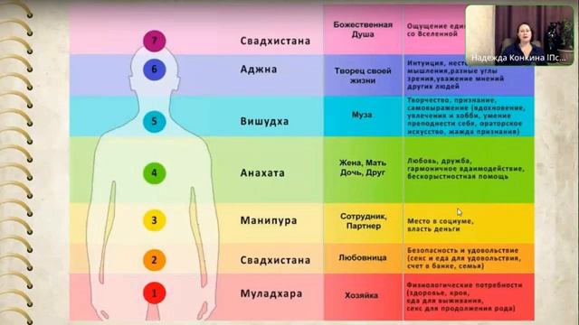 Энергосистема человека. Экспресс-диагностика чакр