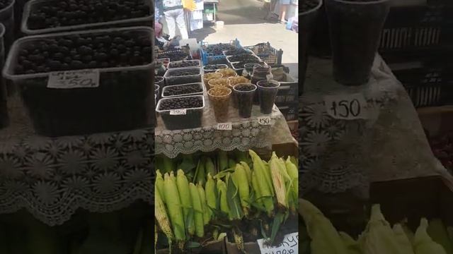 Цены на ягоды. Калининград смотреть онлайн