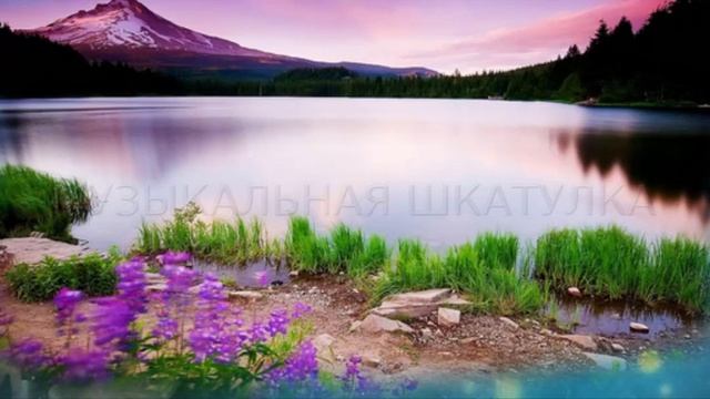 ЭТА НОЧЬ смотреть онлайн