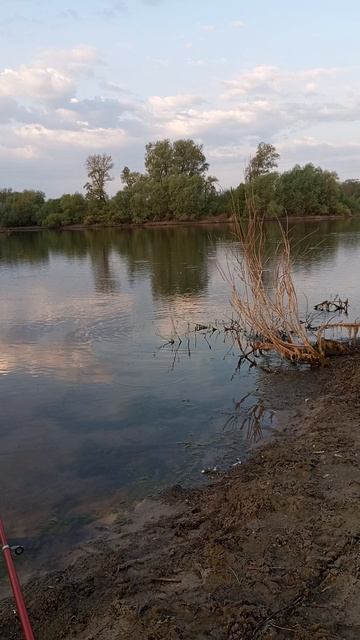 25-04-2025 смотреть онлайн