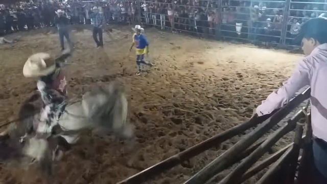 Diego Arruda VS Lobo Solitário смотреть онлайн