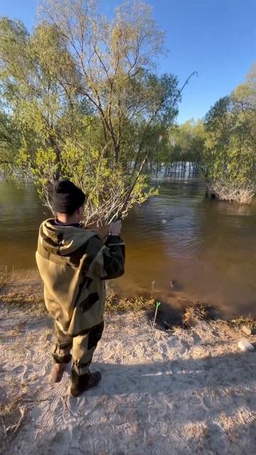 Рыбалка на канале воронеж платина водосброс смотреть онлайн