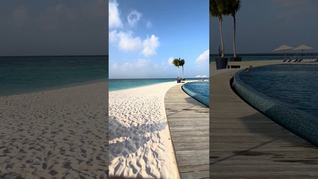 Обзор отеля Avani+ Fares Maldives. Все  включено. Жаркие дни в Январе.