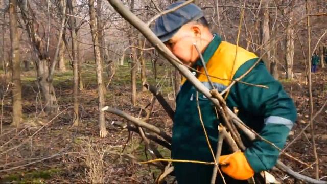 У Дендропарка появилось сразу 3 входа смотреть онлайн