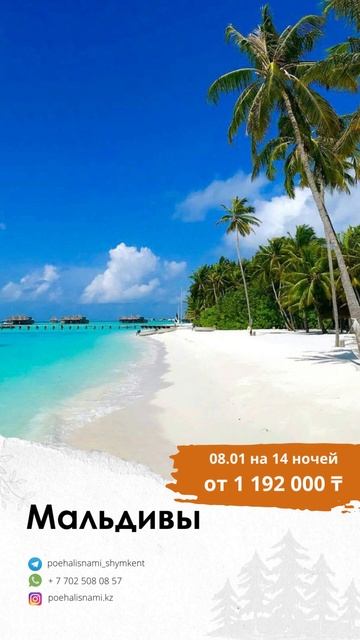 Актуальные туры из Алматы на 04.01.2023 #shorts смотреть онлайн