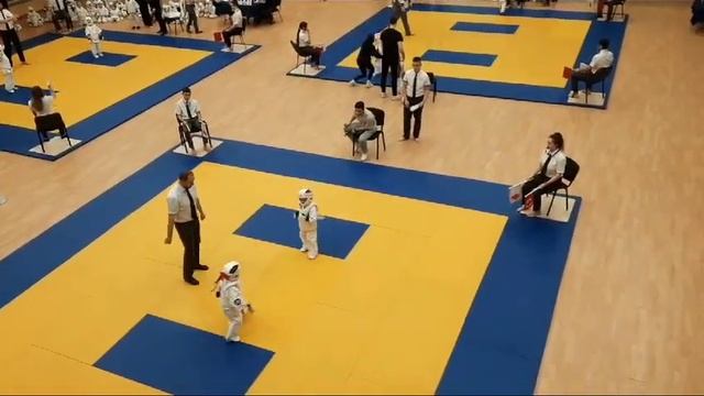 Большие соревнования 16 апреля 2023. Каратэ Киокушинкай. смотреть онлайн