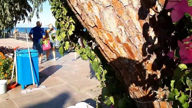 Club Hotel Belpinar Турция смотреть онлайн