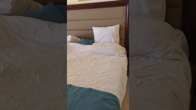 Египет отель Pyramisa