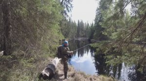 ОГРОМНАЯ Щука на Таёжной Реке. Поход на Дикую Речку. Попал на Жор Щуки. Целый Рюкзак Рыбы.