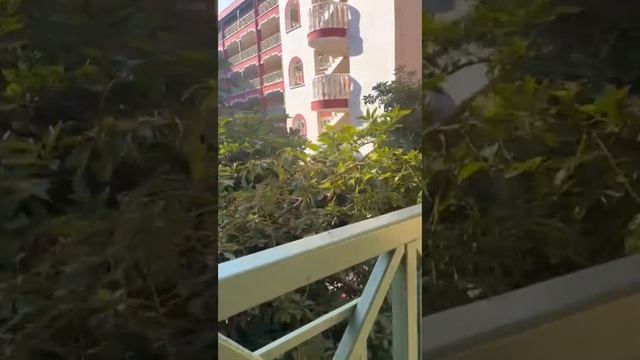 Обзор отеля Swandor старого корпуса в Кемере