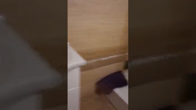 54 ЕШЛИ БУХОРОЛИК ОПАМИЗНИ ИШЛАБ ВА ЯШАШ ШАРОИТЛАРИ смотреть онлайн