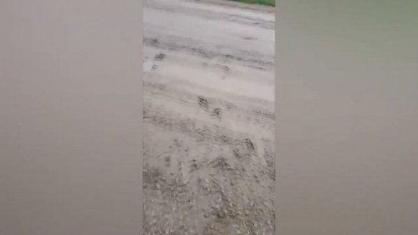 COUB ARCHIVE COMPILATION #6 ВEST CUBE