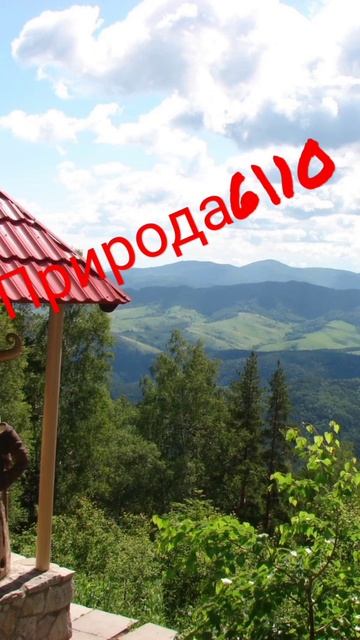 оцениваю посёлок Белокуриху смотреть онлайн