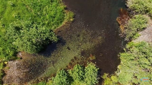 Эффектный взлет с водоёма смотреть онлайн